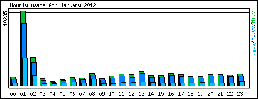 Hourly usage