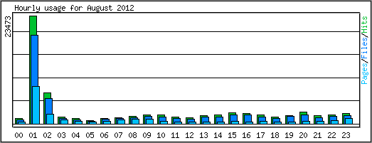 Hourly usage