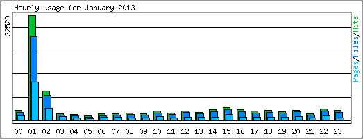 Hourly usage