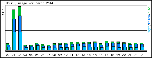 Hourly usage