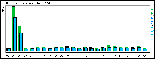 Hourly usage